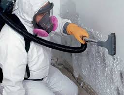 Best Post-Construction Mold Inspection  in East Lansdowne, PA